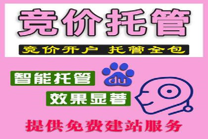 某某sem推广公司助力某科技企业实现产品推广突破
