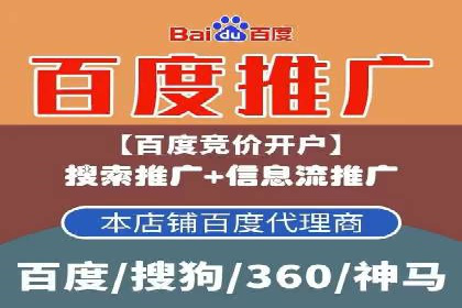 某电商平台的SEM推广策略分析